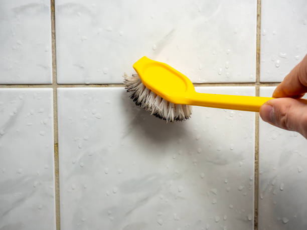 Best Mold Cleaning Services  in Bluefield, VA