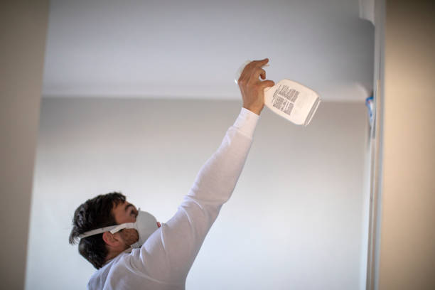 Best Mold Testing  in Bluefield, VA
