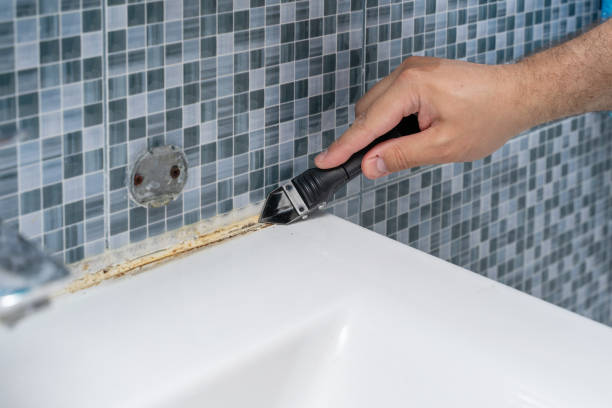 Best Same-Day Mold Removal  in Bluefield, VA